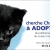 Chaton  adopter